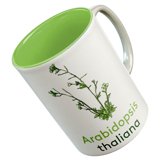 Arabidopsis mug - Boutique Science