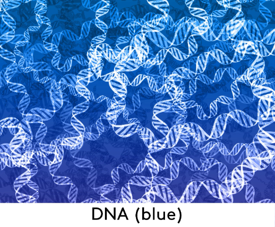 DNA Shift Dress (Blue)