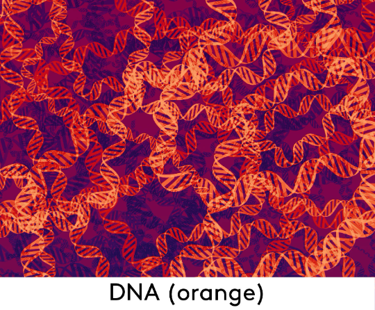 DNA Shift Dress (Orange)
