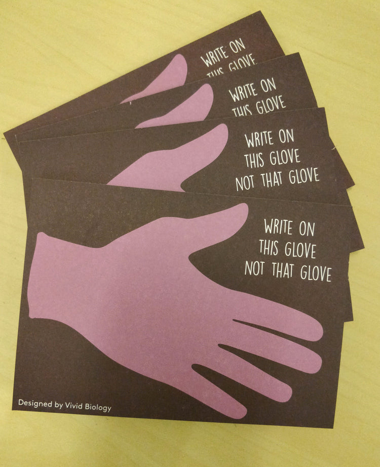 This Glove notepad (Box of 12) - Boutique Science