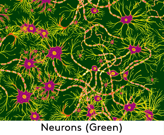 Green Neurons Smock Dress