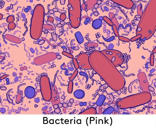 Pink Bacteria Shapes Cotton Tennis Dress