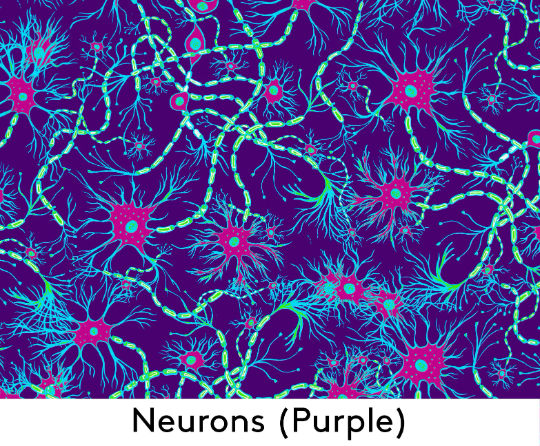 Purple Neurons Smock Dress