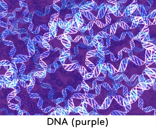 Purple DNA Cotton Tennis Dress