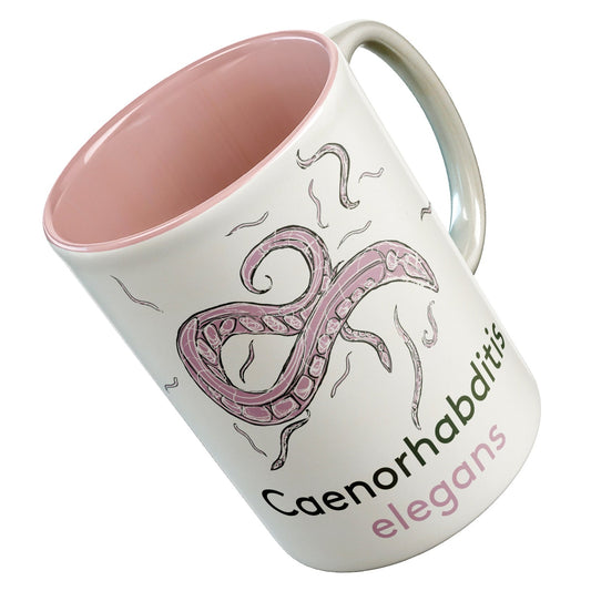 C elegans mug - Boutique Science