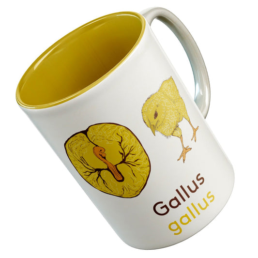 Gallus chick mug - Boutique Science