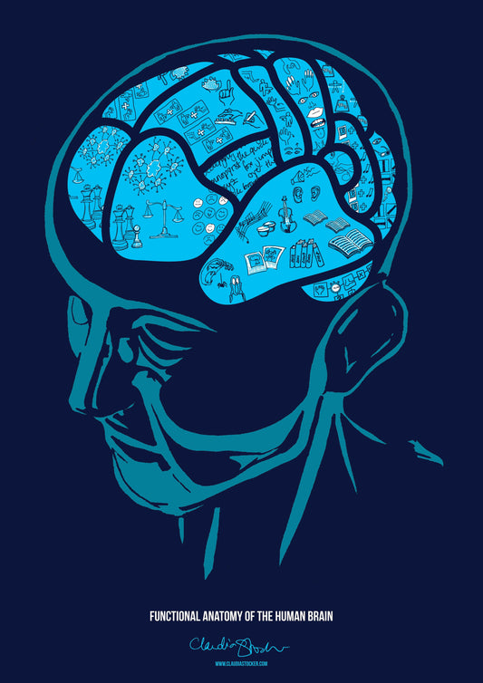Brain Areas - A2 Poster (Blue) (UK Stock)