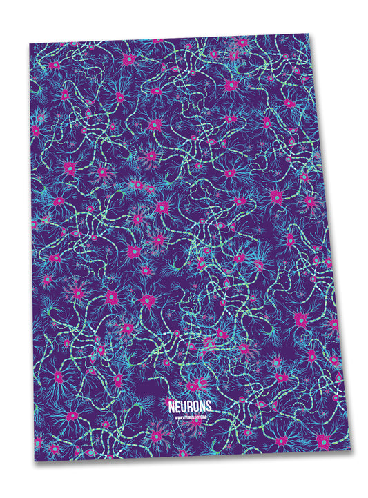 Neurons poster - Boutique Science